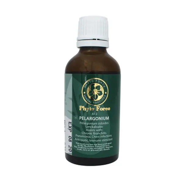Phyto-Force Pelargonium Tincture 50ml | Natural Respiratory, Immune & Seasonal Wellness Support 1 Phyto-Force Pelargonium Tincture 50ml | Natural Respiratory, Immune & Seasonal Wellness Support